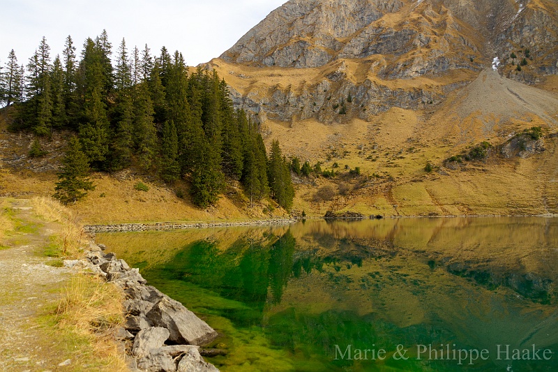 Lac Lioson 5451_2_3.jpg - Lac Lioson, aux Mosses (Vaud, Suisse, novembre 2011)